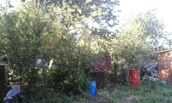 Продам сад в СНТ Нефтяник в Челябинске фото 3