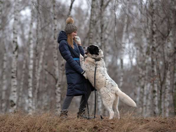 Благородный Герцог ищет семью в Москве фото 45
