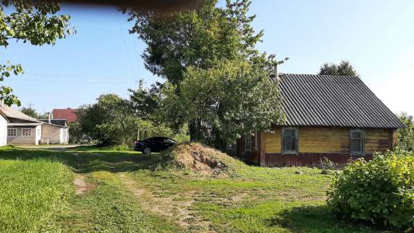 Два дома на участке 22 сотки в деревушке у озера, баня в Пскове фото 12