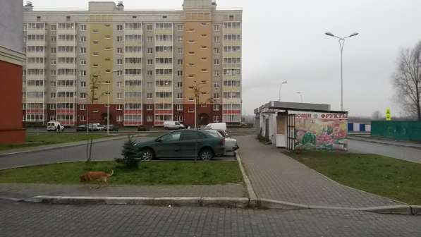 Сдам магазин 10 кв. м ул. Левитана в Калининграде фото 41