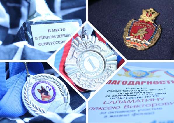Услуги кинолога в Салавате