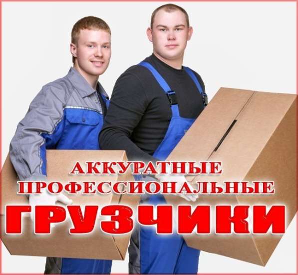 Грузчики и авто в Брянске в Брянске фото 3