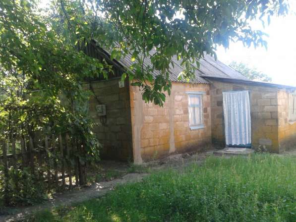Продается дом в Великоноваселовка село Новополь, Дружба