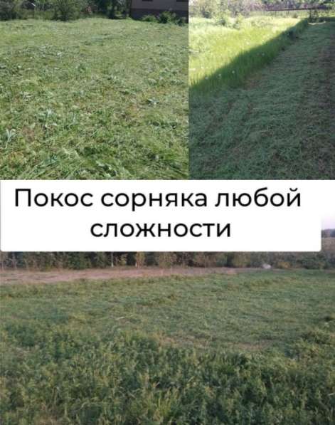 Скос травы Покос травы в Красноярске фото 5
