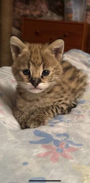 в Москве фото 5