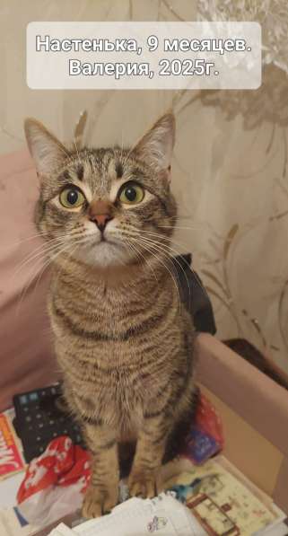 Отдам в добрые ручки сестричек-близняшек