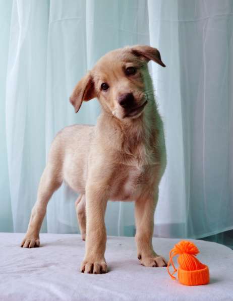 Великолепная Четверка в дар в Москве фото 50