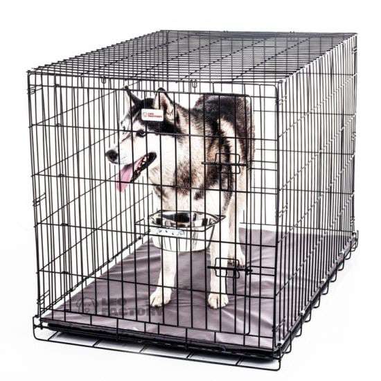 Клетка для собаки в Калининграде фото 3