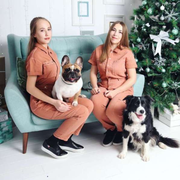 Дог-шоу, дрессированные собачки на праздник