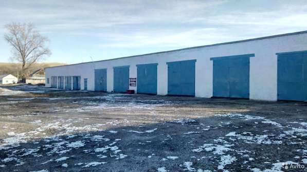 Готовый бизнес - Мукомольный завод продаю в Ульяновске фото 15