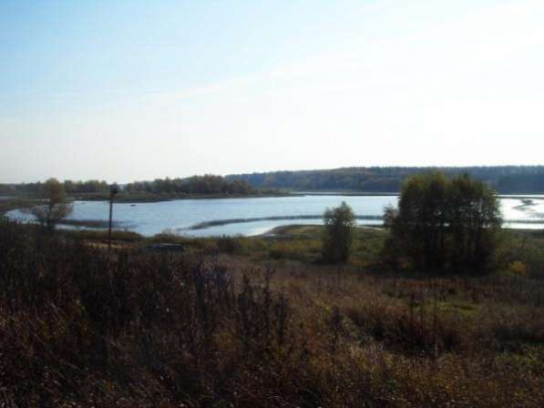 Продается земельный участок 21,5 соток под ЛПХ в д. Мышкино (Можайское водохранилище)119 км от МКАД по Минскому Можайскому шоссе.
