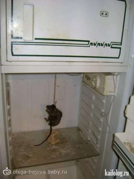 Ремонт холодильников в Москве фото 3