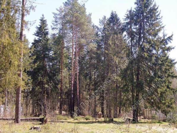 realty_mapper3.plot_in_locationСадовое некоммерческое тов-во. Площадь 20.00 сот.Есть Электричество. в Москве фото 4