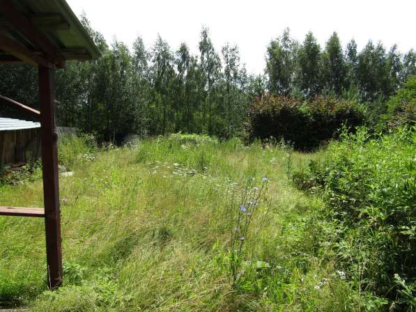 27 соток с домиком, теплицей, колодцем, забором в деревне в Можайске фото 7