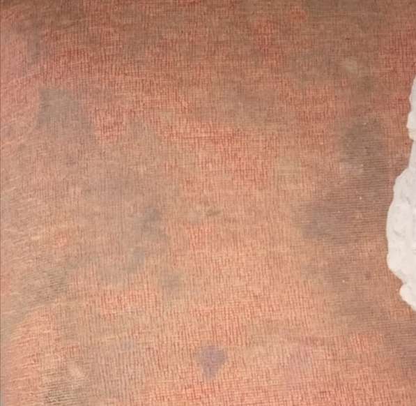 Химчистка диванов, матрасов, ковров в Краснодаре фото 21