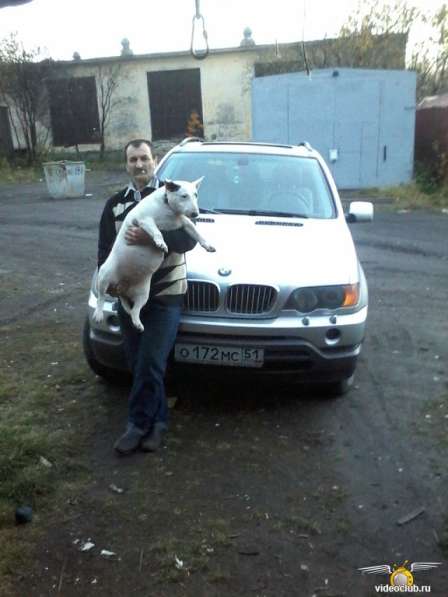 BMW, X5, продажа в Мурманске