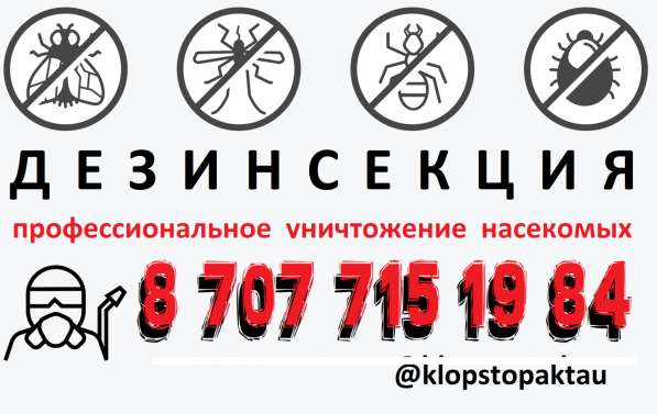 Профессиональное истребление насекомых в Актау и области в фото 3