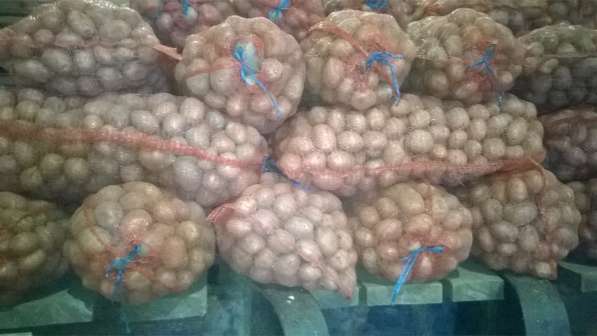 Картофель продовольственный оптом в Чебоксарах