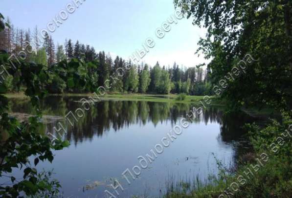 realty_mapper3.plot_in_locationСадовое некоммерческое тов-во. Площадь 18.00 сот.Есть Газ. в Москве фото 33