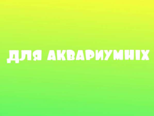 Магазин зоотоваров в Печоре фото 9