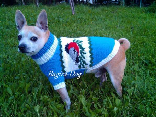 Свитера для собак ручной работы в Москве фото 58