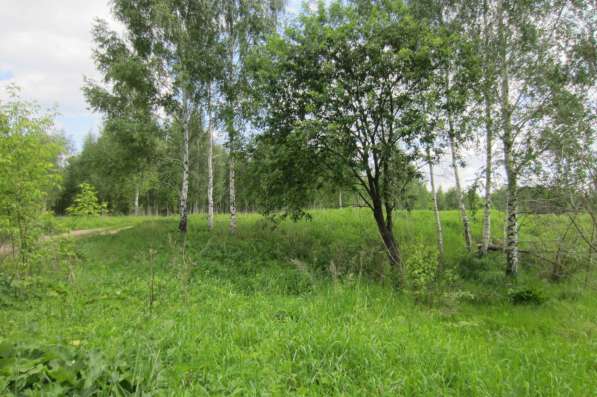 Участок 14,7 сот в жилом поселке по границе с лесом в Михнево фото 3