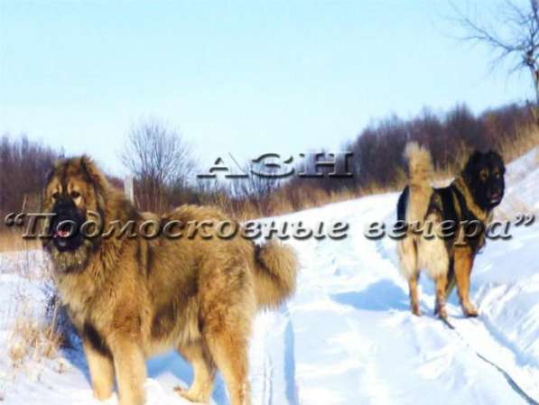 Продам дом в Москва.Есть Канализация, Электричество, Газ. в Москве фото 17