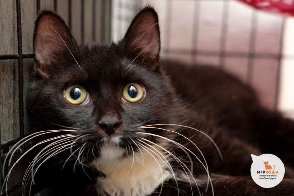 Дуглас хочет сделать вас счастливее в Москве фото 4