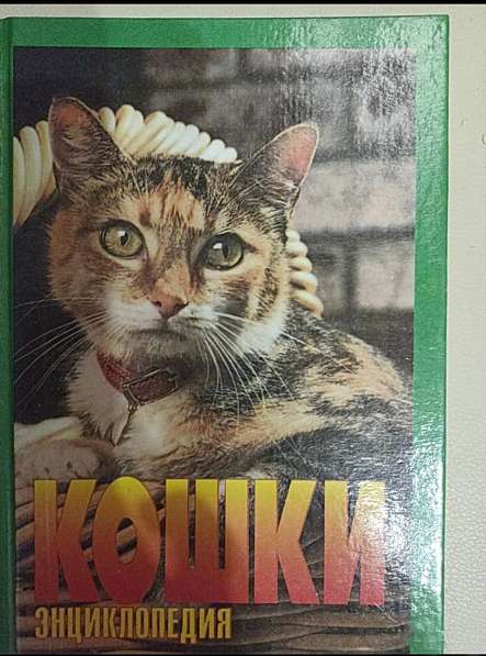 Книга Энциклопедия Кошки. Джино Пуньетти