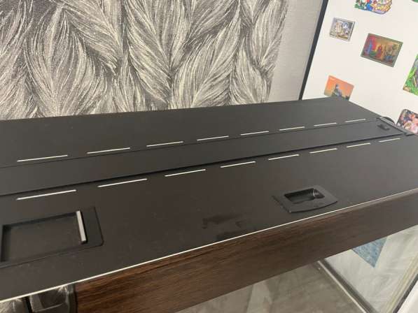 Аквариум в Южно-Сахалинске