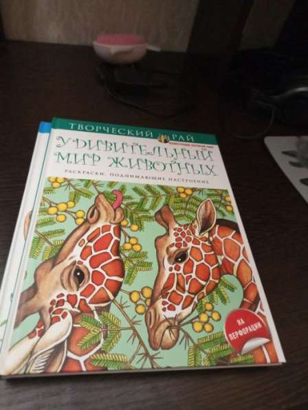 В хорошие руки. Пакетом в Нижнем Новгороде фото 16