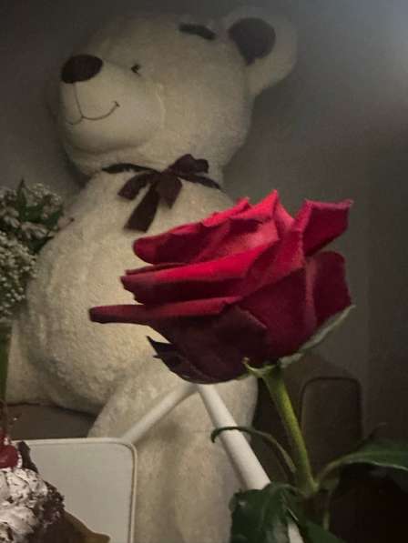 Медведь плюшевый 150 см в Москве