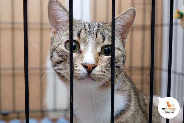 Тейлор хочет сделать вас счастливее в Москве фото 4