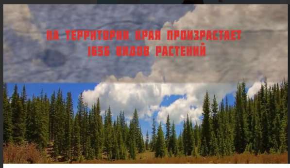 Монтаж видеороликов, слайдшоу, презентации в Новосибирске