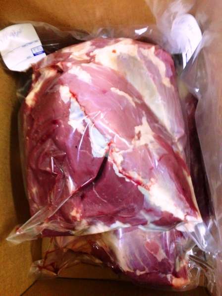 Продам мясо говядина замороженное в полу тушах