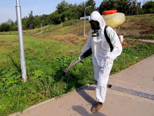 Уничтожение клещей комаров и кроты в Кольчугино обработка