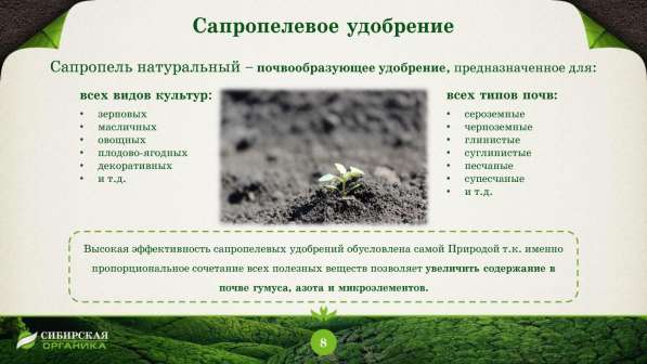 Продаю органическое удобрение (сапропель) в Сочи фото 11