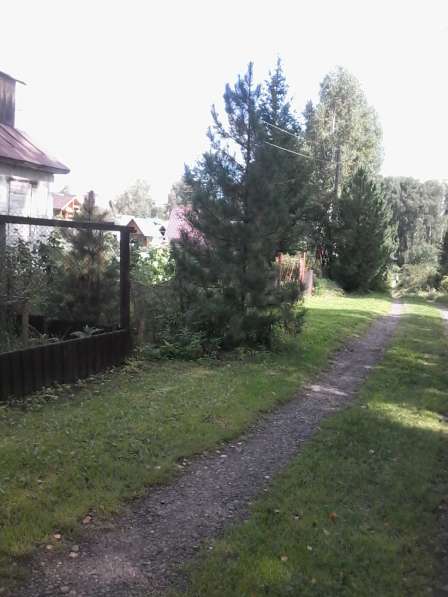 Продам садовый участок (снт Маручак) в Кемерове фото 4