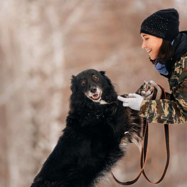 Весёлая, ласковая Чукча ищет семью в Москве фото 69