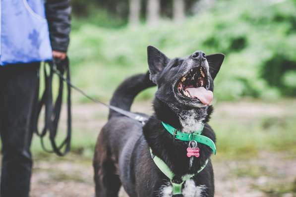 Уникальная Шерри в поисках своего Человека в Москве фото 3