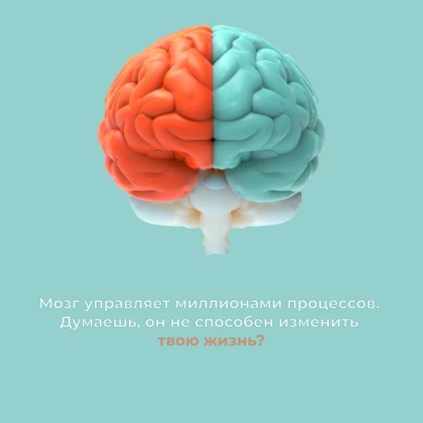 Бесплатный вебинар Мозг - суперсила в Москве фото 16