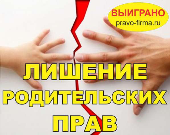 Юрист СПБ. Адвокат. Раздел имущества в Санкт-Петербурге фото 4