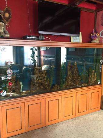 Продам: особняк 353 м2 на участке 20 сот в Раменское фото 9