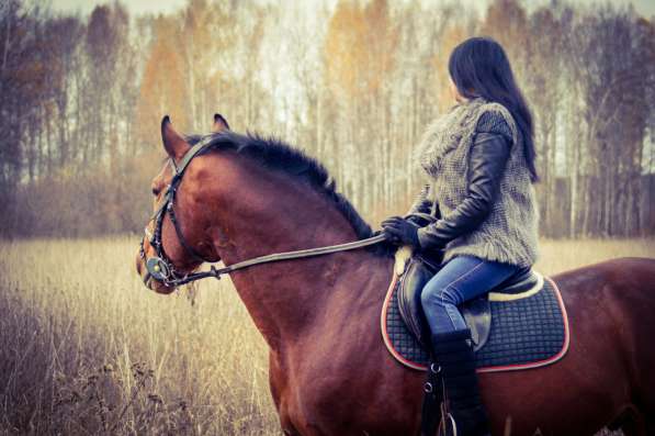 Лесные фотосессии с лошадьми и пони в Екатеринбурге фото 7