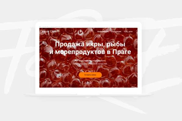 Создание сайтов в Праге. Веб разработка Чехия в фото 5