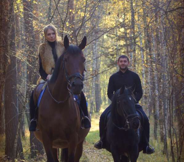 Лесные фотосессии с лошадьми и пони в Екатеринбурге фото 17