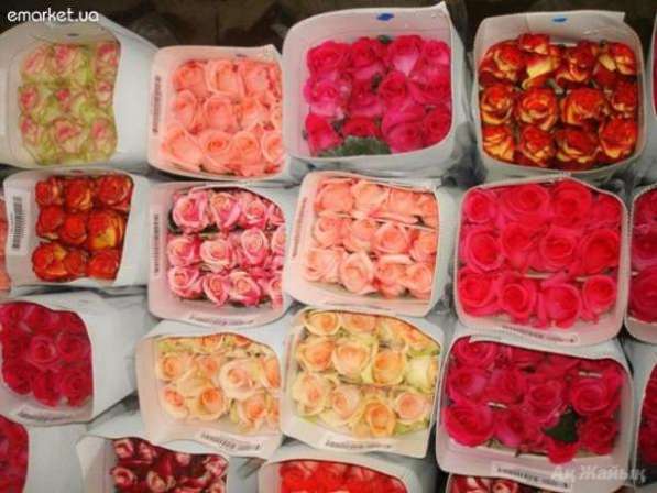 Магазин цветов с прибылью 70 000 рублей в Московской области в Москве