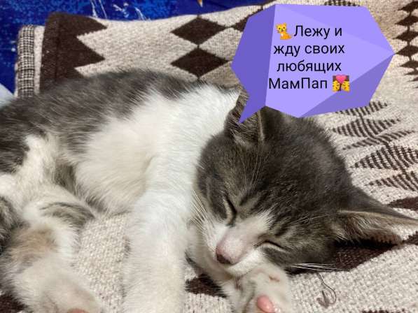Малыш в добрые руки