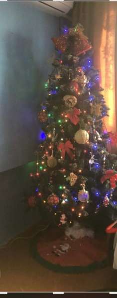 Искусанная елка в Ростове-на-Дону