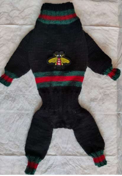 Одежда для собак